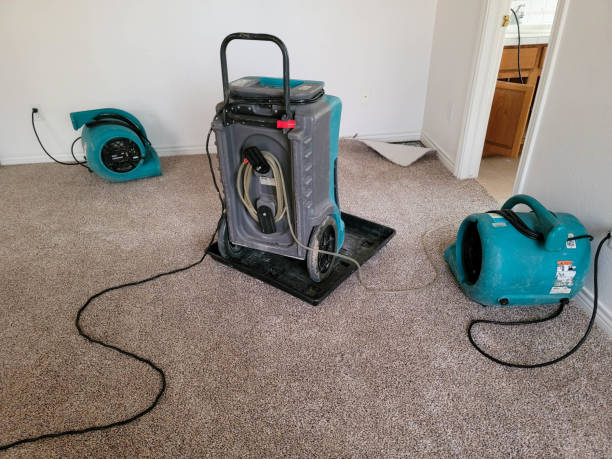 Best Flood damage cleanup  in Mulberry, FL
