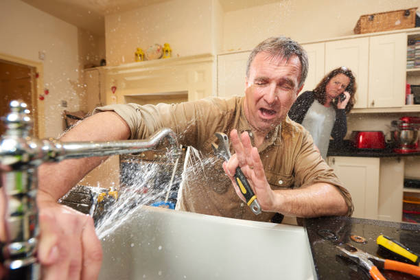 Best Local water damage restoration  in Mulberry, FL